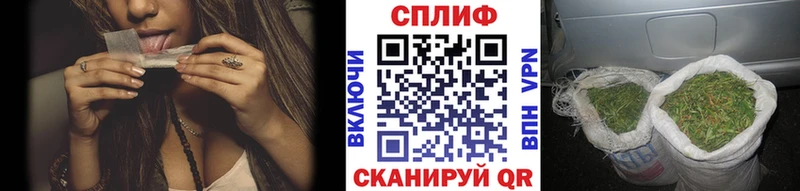 наркотики  Козельск  Бошки Шишки сатива 